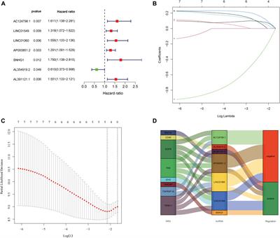 Prediction of Prognosis and Immunotherapy of Osteosarcoma Based on Necroptosis-Related lncRNAs